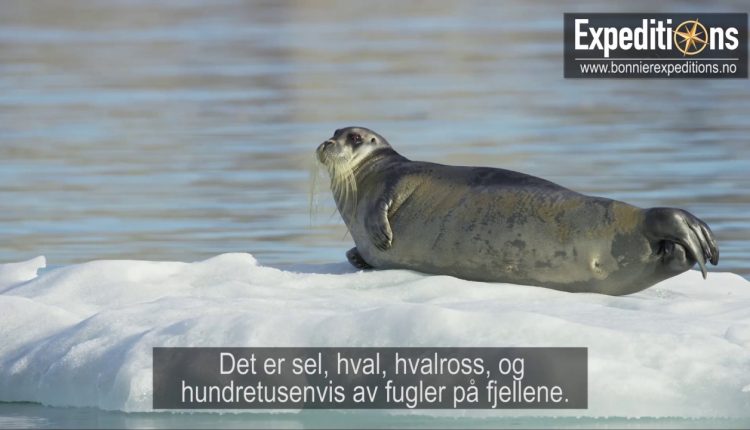 Morten Hilmer, Digital Foto Norge