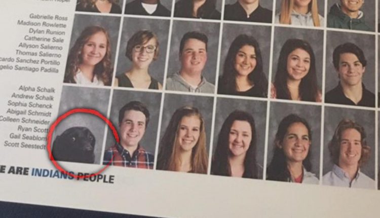 High School Student's Service Dog Gets His Own Photo in Yearbook