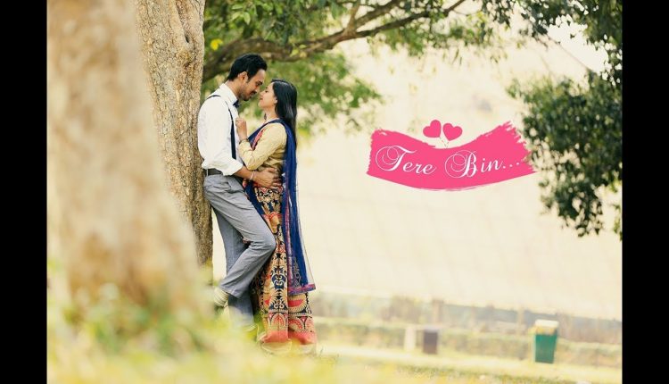 Tere Bin | SHASHWAT + NAMITA | Pre-wedding shoot | 2019