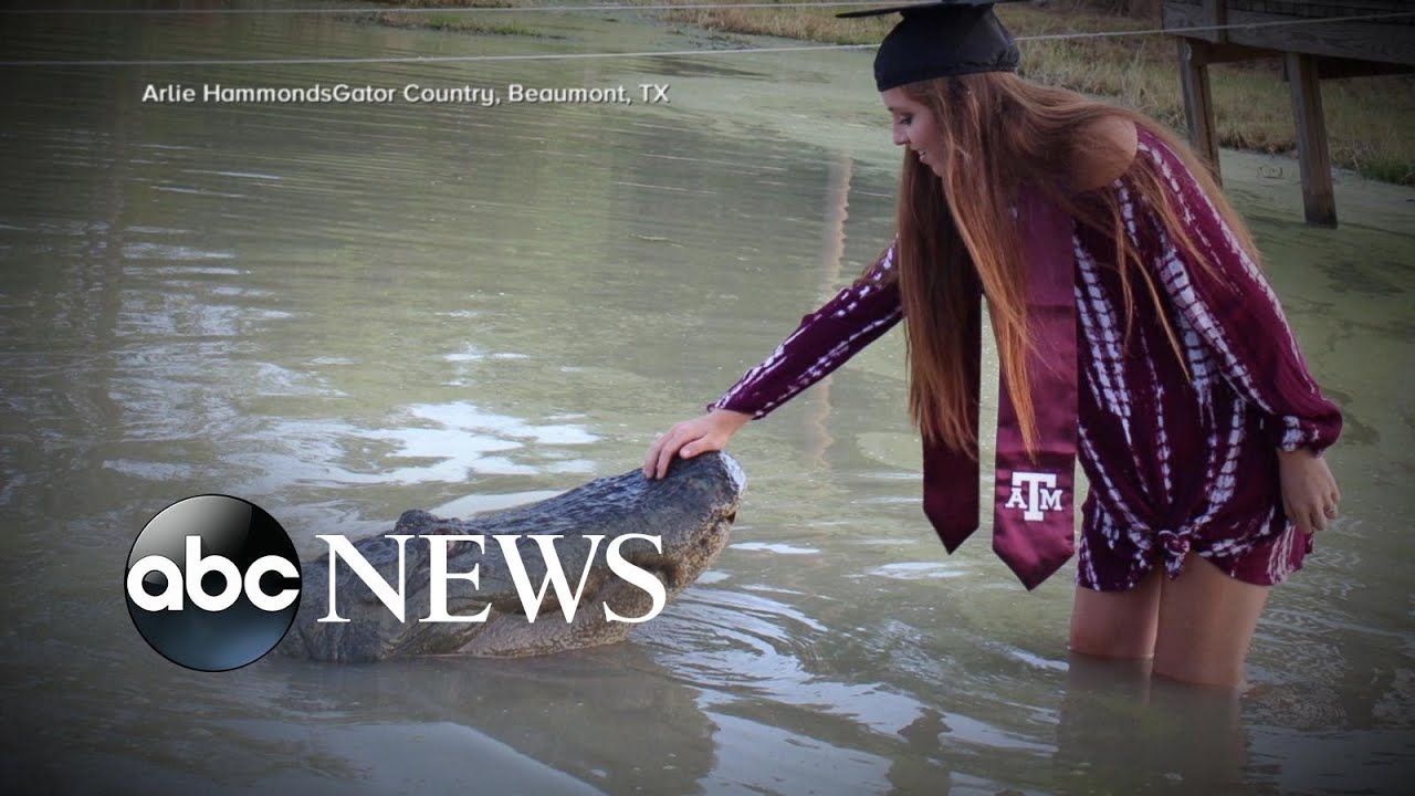 College student poses with gator in graduation photos