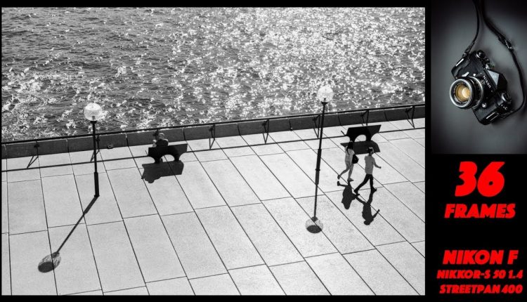 Street Photography - Nikon F - Nikkor-S Auto 50 1.4 - JCH StreetPan - Sydney - 36Frames
