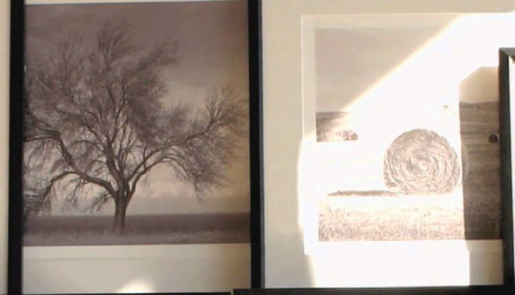 Photo Art: Heritage Graphic's Black and White Photography | Pottery Barn