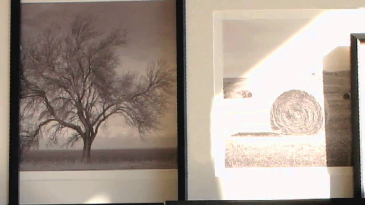 Photo Art: Heritage Graphic's Black and White Photography | Pottery Barn