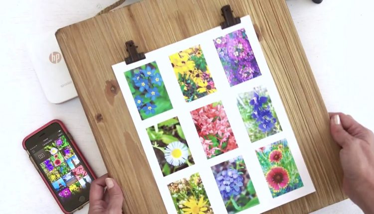 Mini Floral Photo Art Collage | HP Sprocket Photo Printer | HP