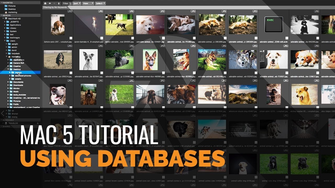 ACDSee Photo Studio for Mac 5 Tutorial - Using Databases