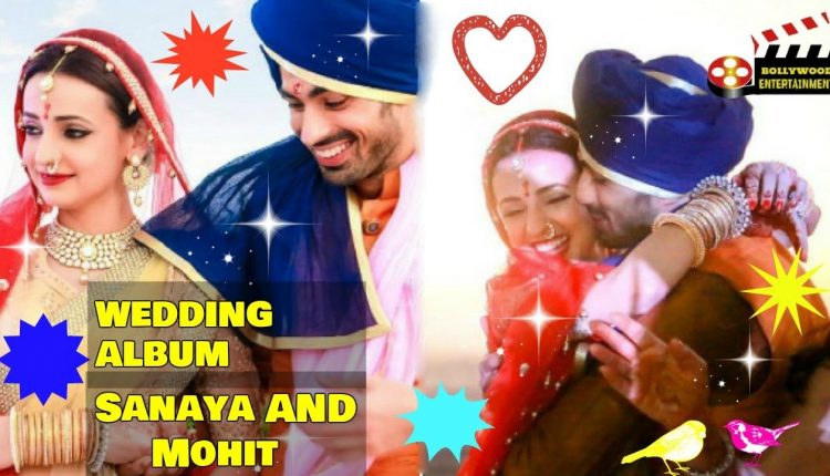Sanaya Irani and Mohit Sehgal’s wedding album