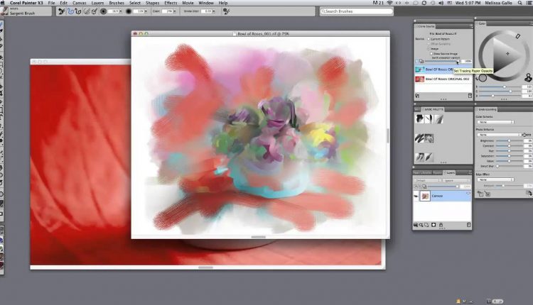 Painter X3 Beginner Photo Art Workspace by Melissa Gallo
