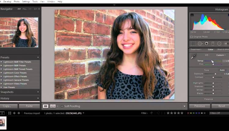 Use Any Camera to Take A Portrait!  -- DIY Senior Pictures