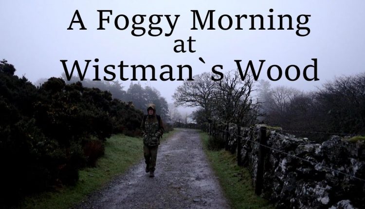 Wistman`s Wood, Dartmoor, Landscape Photography