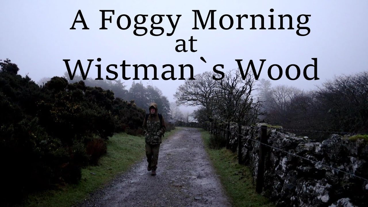 Wistman`s Wood, Dartmoor, Landscape Photography