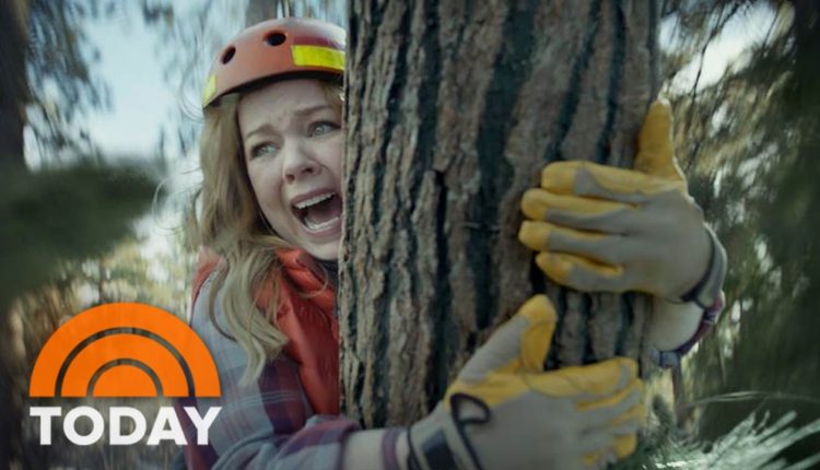 Best And Worst Super Bowl Ads: Melissa McCarthy, Celebrity High School Photos | TODAY