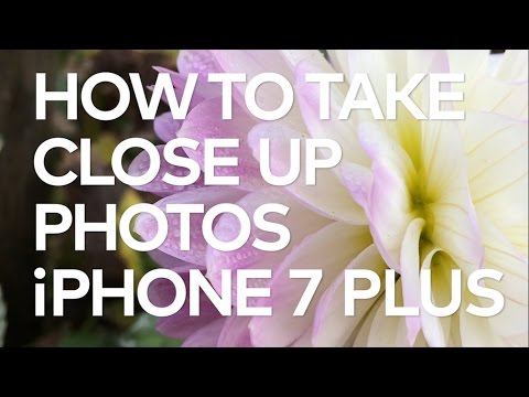 iPhone 7 Plus: Shooting Macro Photography