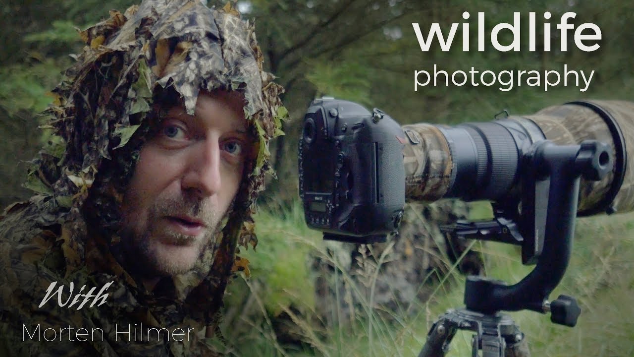 Red Deer - Wildlife Photography | behind the scenes vlog with wildlife photographer Morten Hilmer