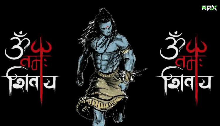 Shiv Shakti Photo Art