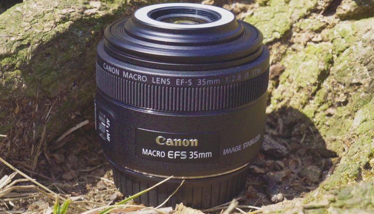 Macro Photography with the Canon EF-S 35mm f/2.8 Macro Lens