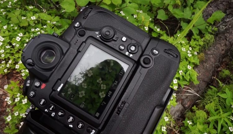 Wildlfower Photography In Alaska with the Nikon 85mm T/S Lens