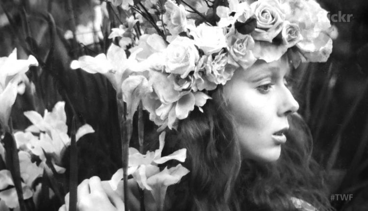 Photography as Art Therapy