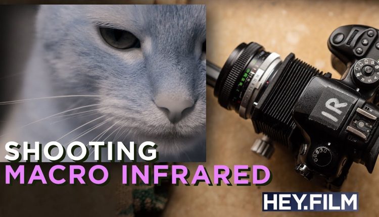 Macro Infrared Photography with a Bellows | Hey.film podcast ep68