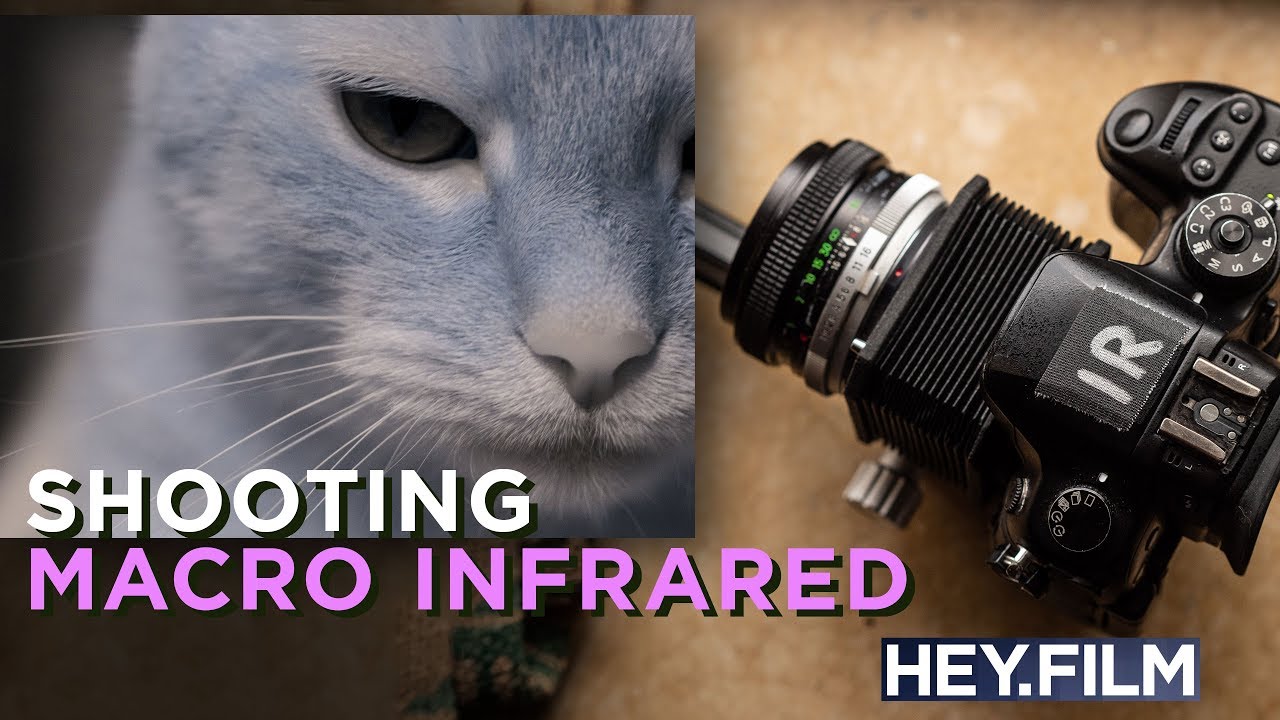Macro Infrared Photography with a Bellows | Hey.film podcast ep68