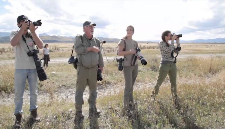 The Art of Wildlife Photography with Tom Mangelsen