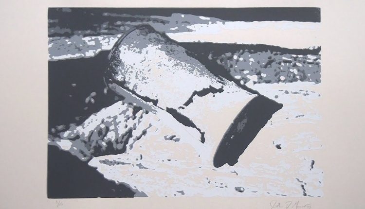 Silk Screenprinting: Fine Art Posterization Photo Print