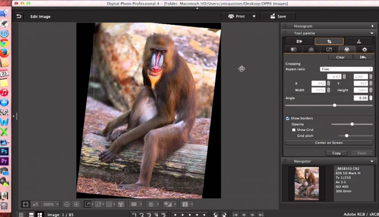Digital Photo Professional (DPP) 4: Editing Images