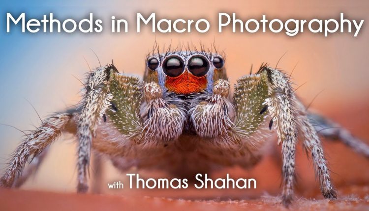 Methods in Macro Photography with Thomas Shahan