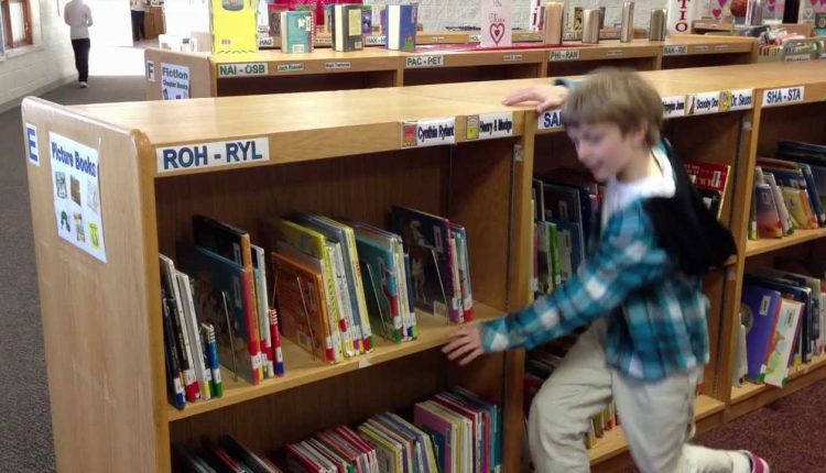 Elementary Library Lesson #2 - Picture Book Organization #Edgerton School District