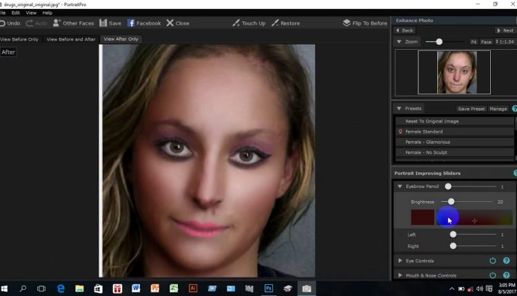 How to work portrait pro
