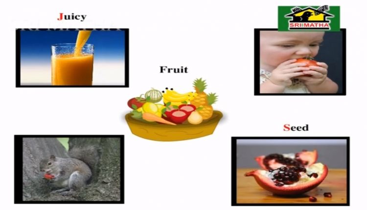 General Knowledge for School children l Picture and Names l Musichouse27