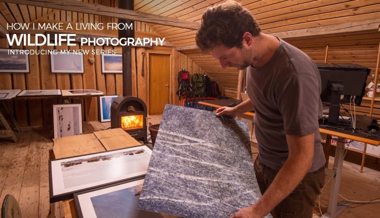 How I MAKE A LIVING from WILDLIFE PHOTOGRAPHY - introducing my new series