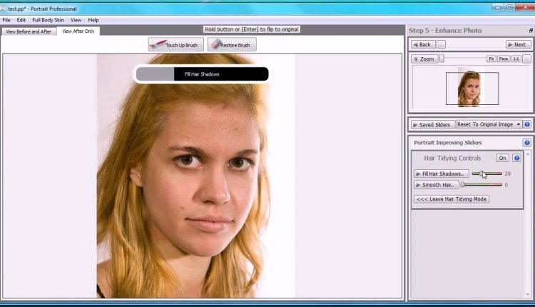 Hair in Portrait Professional