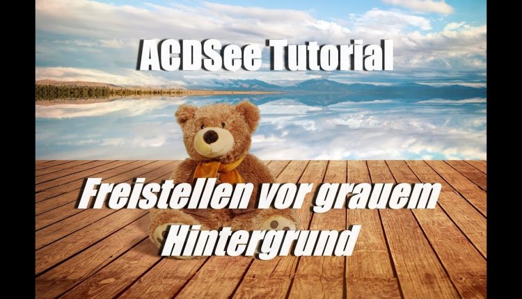 Freistellen vor grauem Hintergrund | Hintergrund austauschen mit ACDSee Photostudio 2018