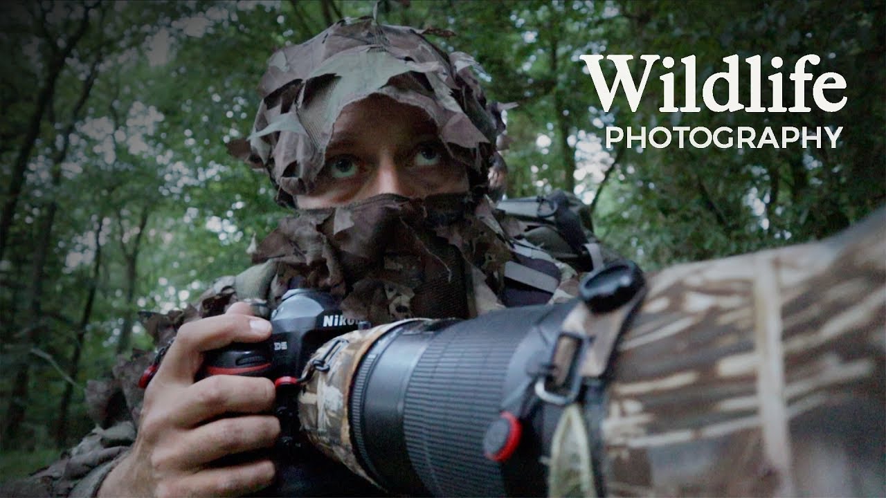Wildlife Photography - Roe Deer | behind the scenes vlog with wildlife photographer Morten Hilmer