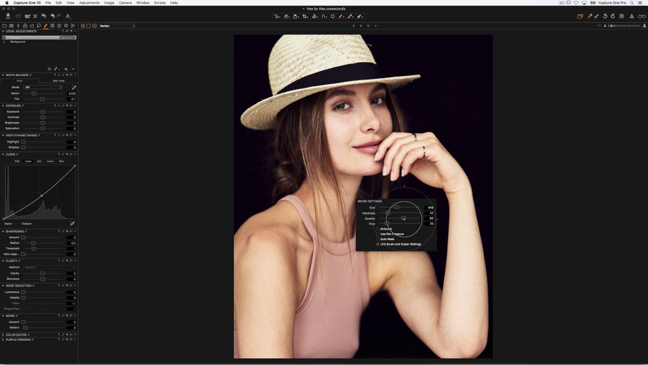 Capture One Pro 10 - Simple Adjustment Guide | Portrait