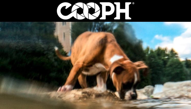 7 smartphone photography tips & tricks