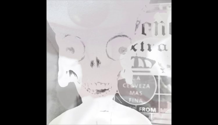 One Hundred/Photo Art Collection 2018/Flower Series