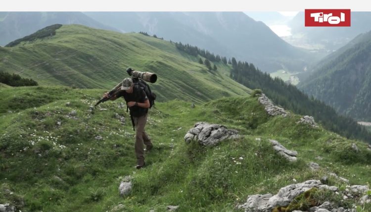 Wildlife Photography in the Alps (Tyrol, Austria)