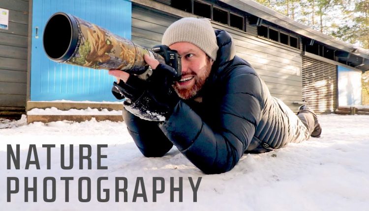 Landscape and Wildlife Photography in the Cairngorms