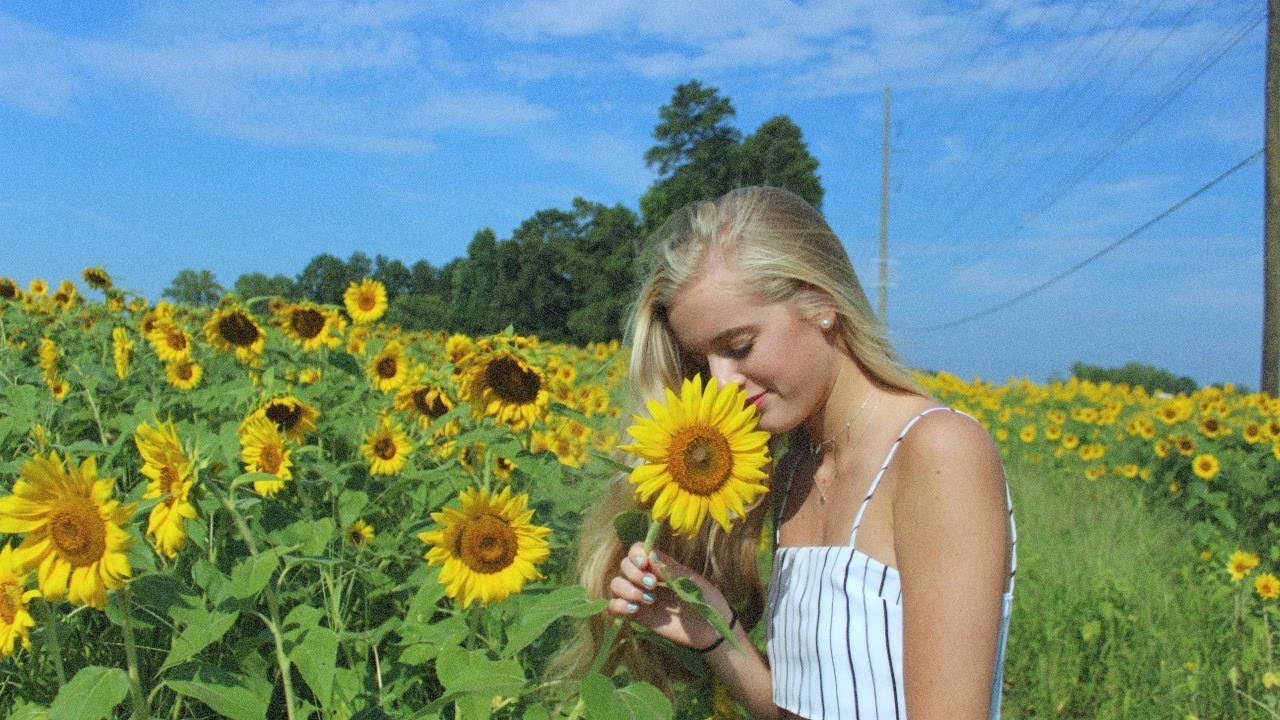 i took my senior pics in a sunflower field and this is what happened.....