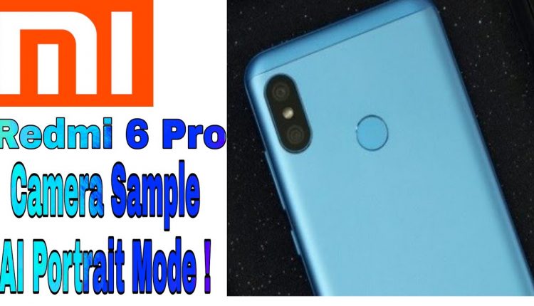 Redmi 6 Pro Camera Sample || Dual Rear Camera || AI Portrait Mode