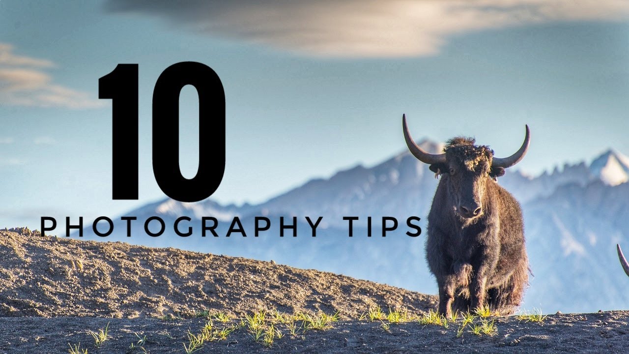 10 SIMPLE Photography TIPS for Absolute Beginners