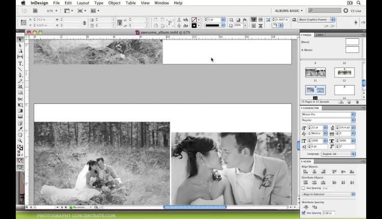 Awesome Album Design Skills Sample Video - Creating Contrast in Wedding Albums