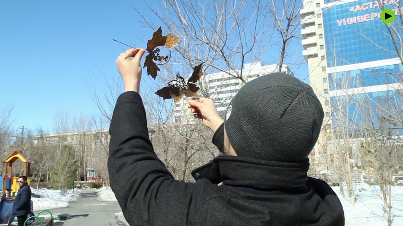 Fragile art: Kazakh artist carves pictures & landscapes out of fallen leaves