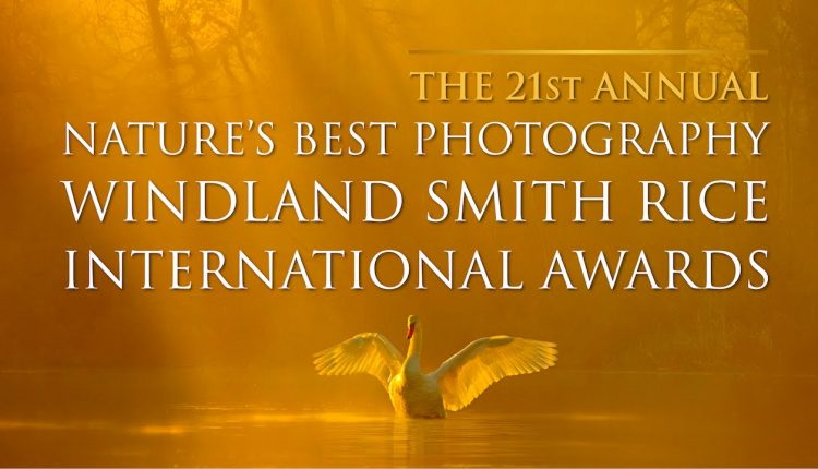 2016 Nature's Best Photography Awards