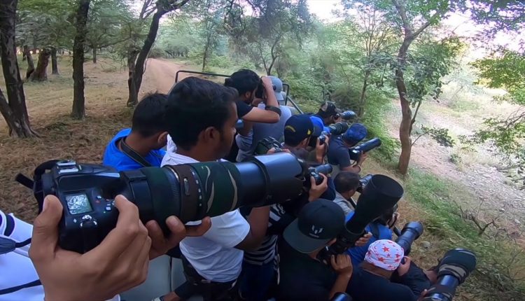 Delhi School of Photography: Photo Tour to Ranthambore National Park