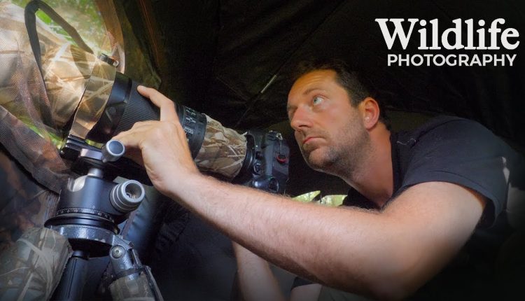 I DID NOT EXPECT THIS | Wildlife Photography behind the scenes - photographing from my photo blind
