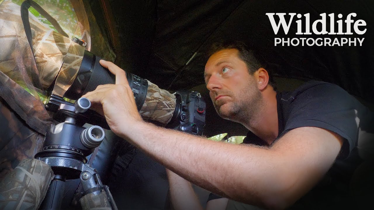 I DID NOT EXPECT THIS | Wildlife Photography behind the scenes - photographing from my photo blind