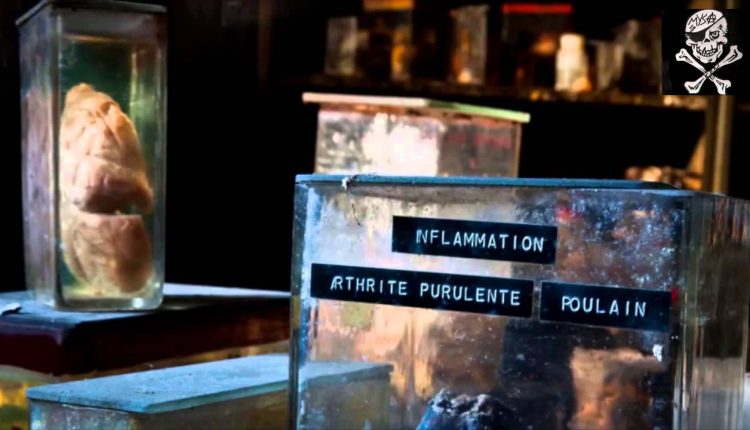 Abandoned Veterinary School "The Horror Labs" - Brussels, Belgium [Photography]