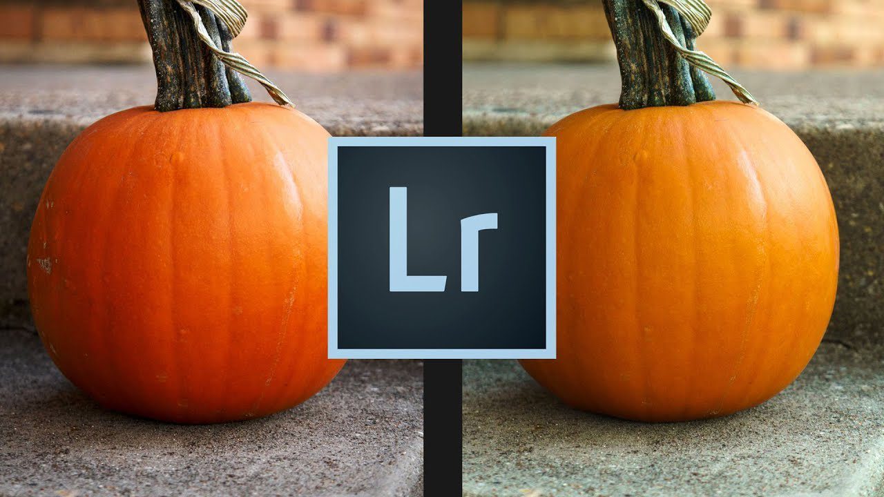 What you DON'T know about RAW image files :: Lightroom vs Capture One